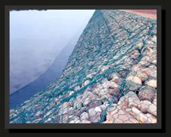 Gabion mesh