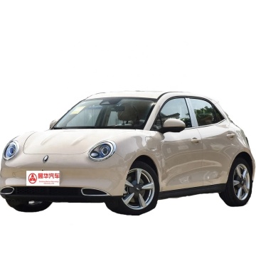 Great Wall ORA Electric Vehicles: 0KM Used Car New Energy Options