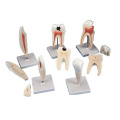 /msite/products/detail/productid/63611005/id/1517769.html