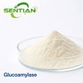Glucoamylase Enzyme for Starch Saccharification & Glucose