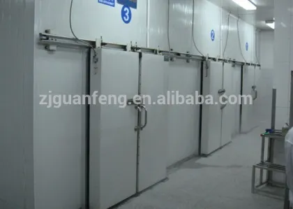 deep freezer for food quick freezing rooms