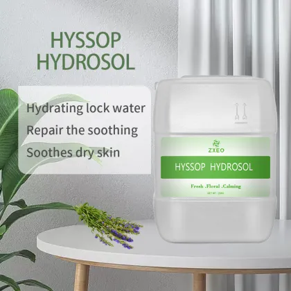 Organic Hyssop Flower Water | Hyssopus officinalis Distillate Water