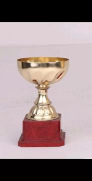 Metal trophy
