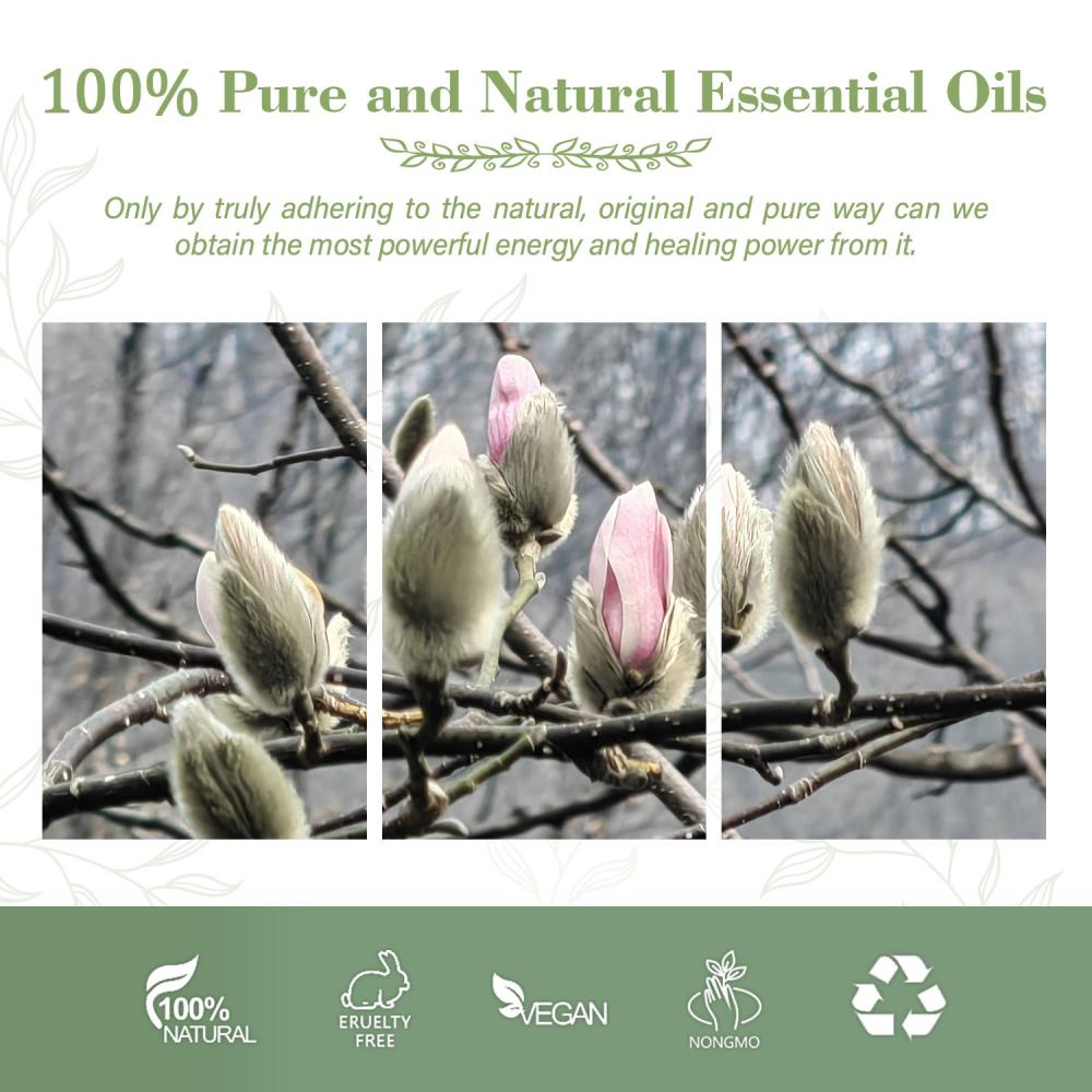 Óleo de Magnólia Orgânica Naturais 100% Pure Óleo Flos Magnoliae para óleo de perfume