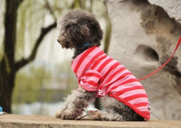 pet products/dog clothes/fashion dog polo T-shirt