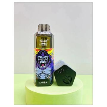 R＆M Paradise 8K卸売Vape New Style