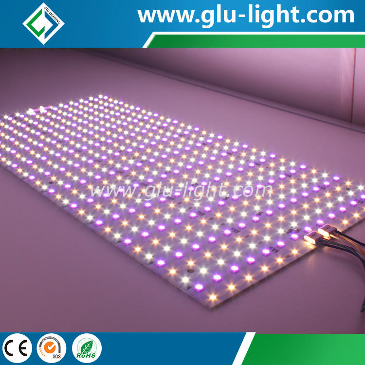 24v Customize Rgb Cct Bi-color Ra95 5 Colors Led Panel For Tv Video ...