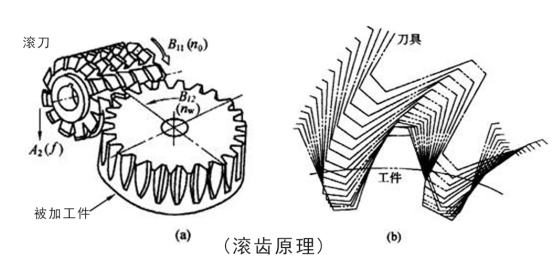 Hobbing principle