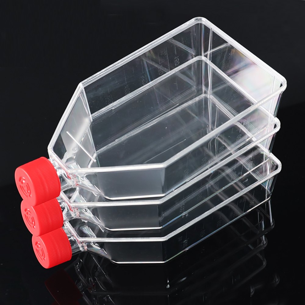 T175 Flasks For Cell Culture With Filter Cap, High Quality T175 Flasks