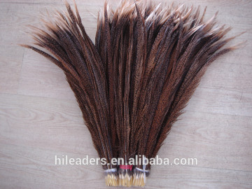 Wholesale Golden Center Dye Pheasant Feather Cheap Pheasant feather