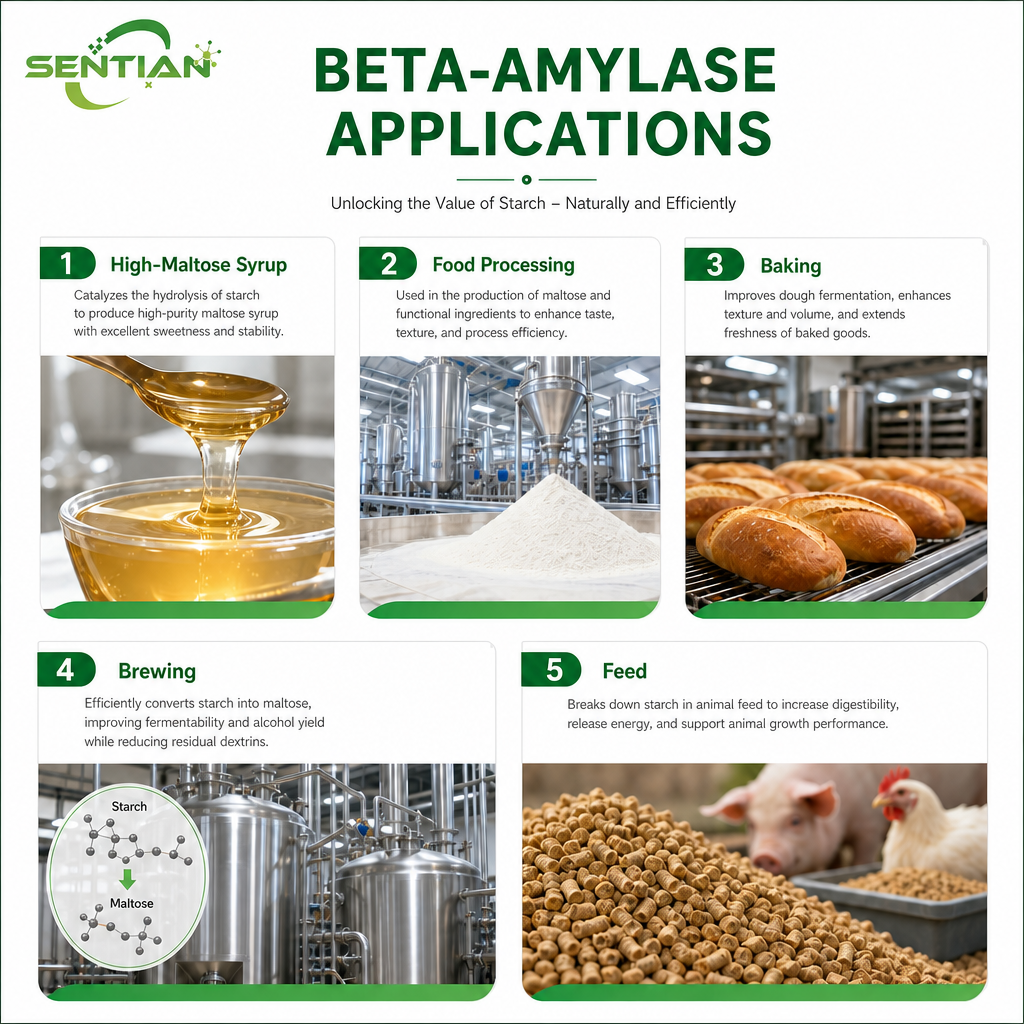 Beta-amylase2