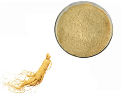 Ginseng Extract ginsenosides panax ginseng Powder