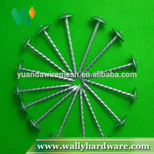 Ring shank all type steel roofing nails