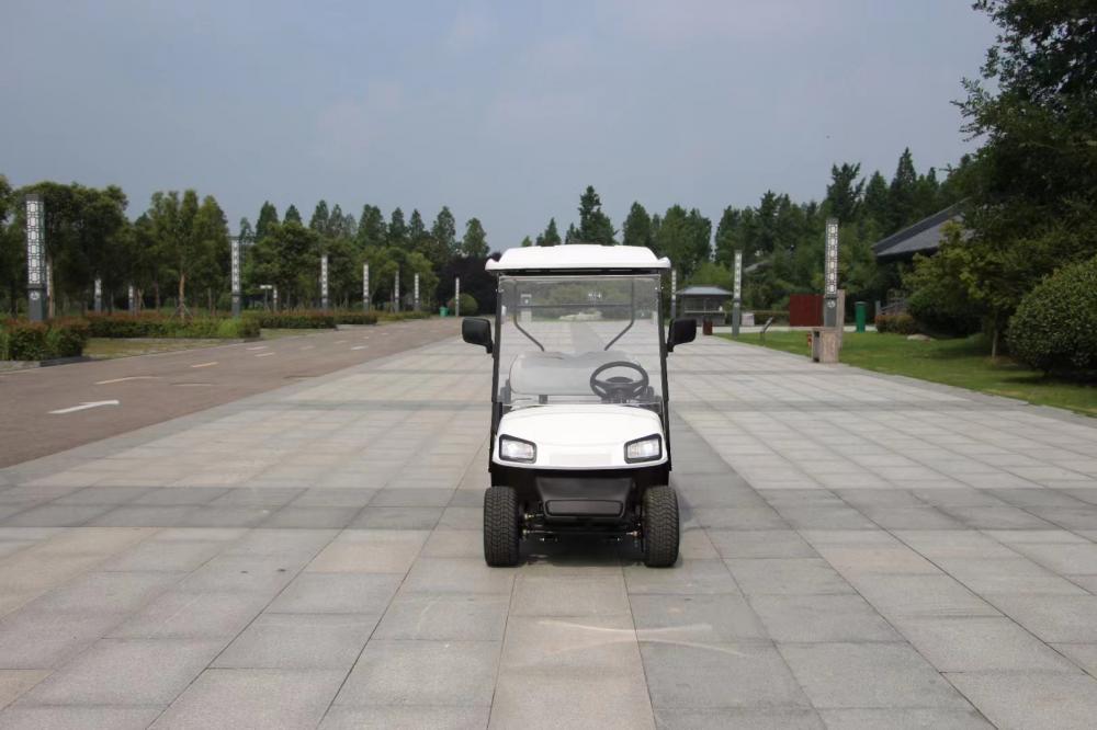 Carrinho de golfe de boa qualidade