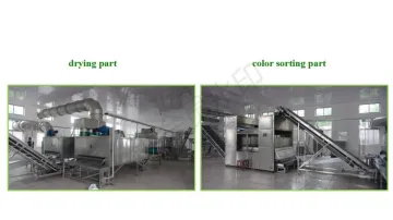 Peanut Deep Frying Production Line