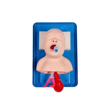 Neonatal Tracheal Intubation Model: Airway Training Manikin for Newborn Endotracheal Intubation