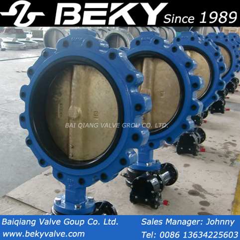 Lug Lined Butterfly Valve (D371F)