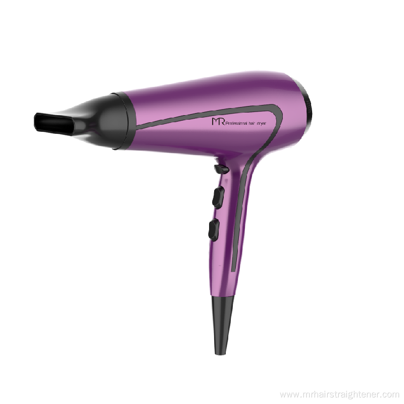 Household Ionic Hair Dryer with DC Motor