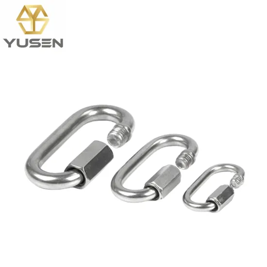 Stainless Steel D-Lock Carabiner Quick Links