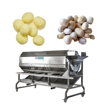 High Quality Automatic Vegetable Washing and Peeling Machine Production Line for Potatoes