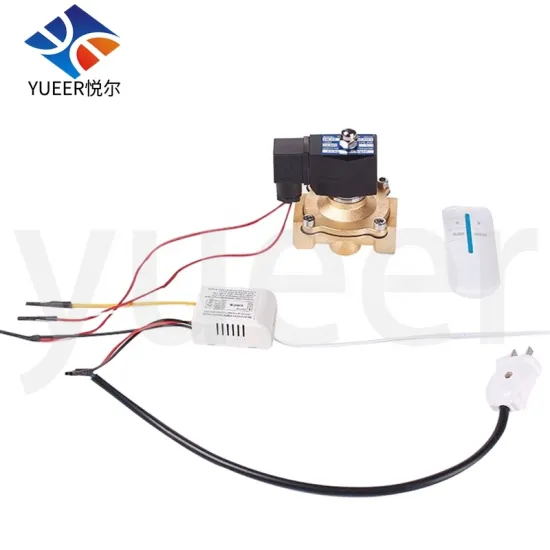 Long-Distance Digital Remote Control Switch for Wireless 2-Channel 220V Solenoid Valve Operations