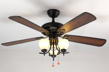 Living room Ceiling Fans Lighting