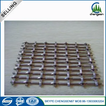 Corrosion Resistance Weaving Patterns Crimped Pizza Mesh