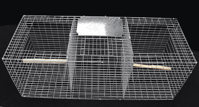 brid trap cage brid trap cage