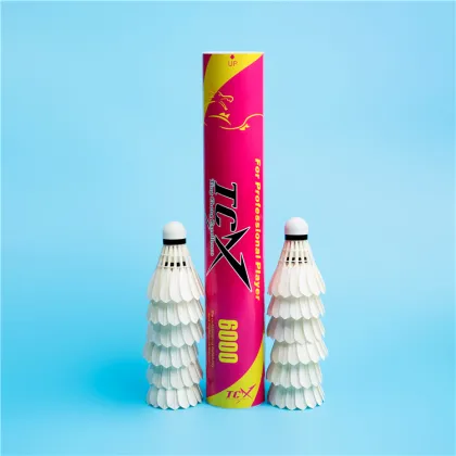 TCX6000 Badminton Shuttlecock - Nice Goose Feather for Training