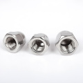 Stainless Steel Acorn Nut cap nut