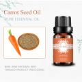 Pure natural Carrot Seed Oil for skin Care