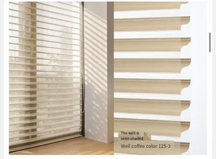 Electric Roller Shades - Smart Blackout Window Curtains