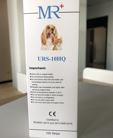 Pet Dog Animal Animal Test Test Test คุณภาพสูง Pet Dog Animal Animal ...