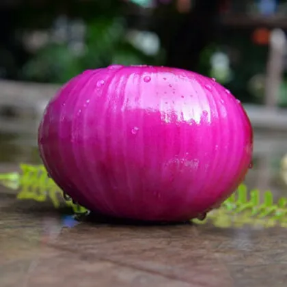 Red Onions Yellow Onions