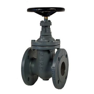 ANSI Cast Iron Gate Valve