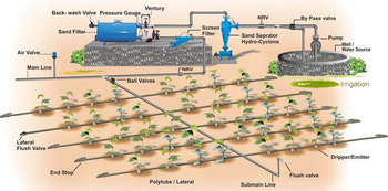 Drip irrigation system for strawberry