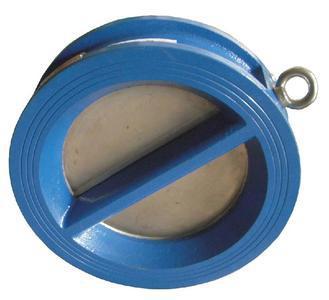 double plate check valve