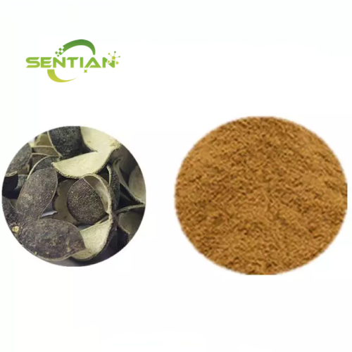 GreenTangerine Pee Extract Powder