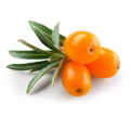Sea Buckthorn Fruit Extracto de fruta de espino de mar de mar en polvo