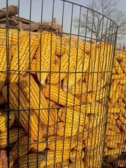 dark green welded wire mesh