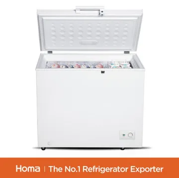 small BD1-251 chest freezer with Mechanical Controlr