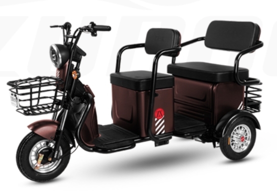 M2 (Leisure Electric Tricycle)