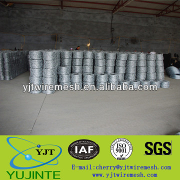 Electro Galvanized Barbed Wire Factory