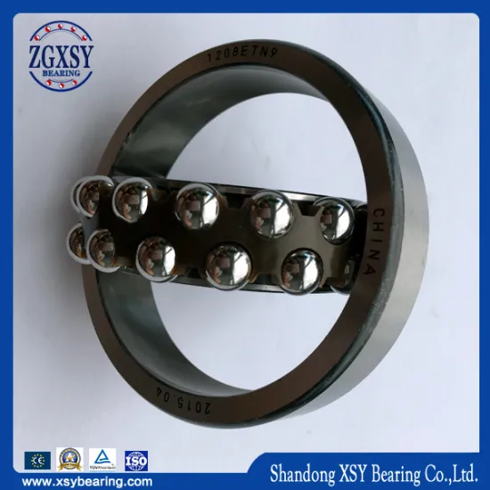 1304/1305/1306 General Machinery Self-Aligning Ball Bearing