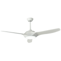 Modern Ceiling Fan with Light