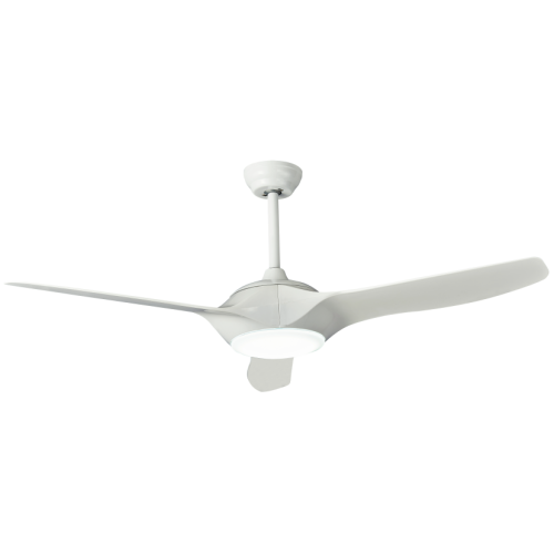 Modern Ceiling Fan with Light