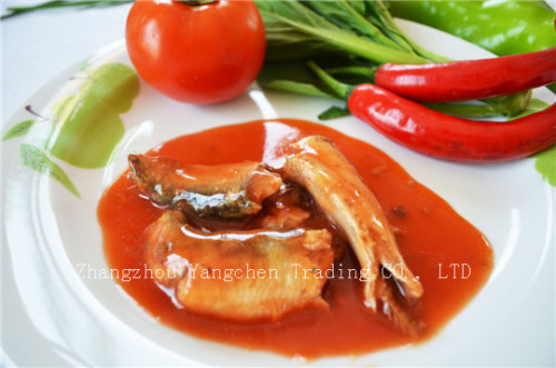 Canned sardine fish in Tomato Sauce from China