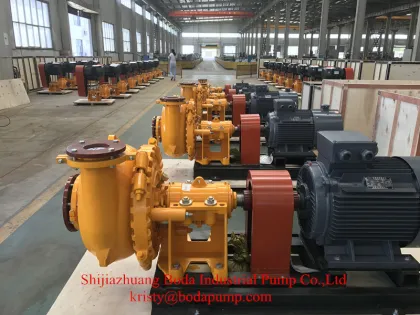 Series BHR(P) BLR&SP(R) Desulphurization Pump