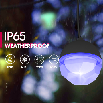 Bluetooth RGB LED String Lights for Christmas Decorations