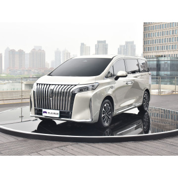 2024年Wey Gaoshan豪华MPV